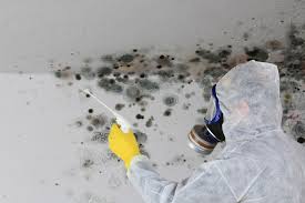 Asbestos and Lead Testing During Mold Inspection in Benton Park, CA